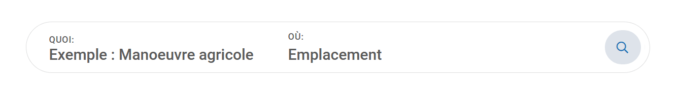 Capture d’écran du champ de recherche d’emploi.